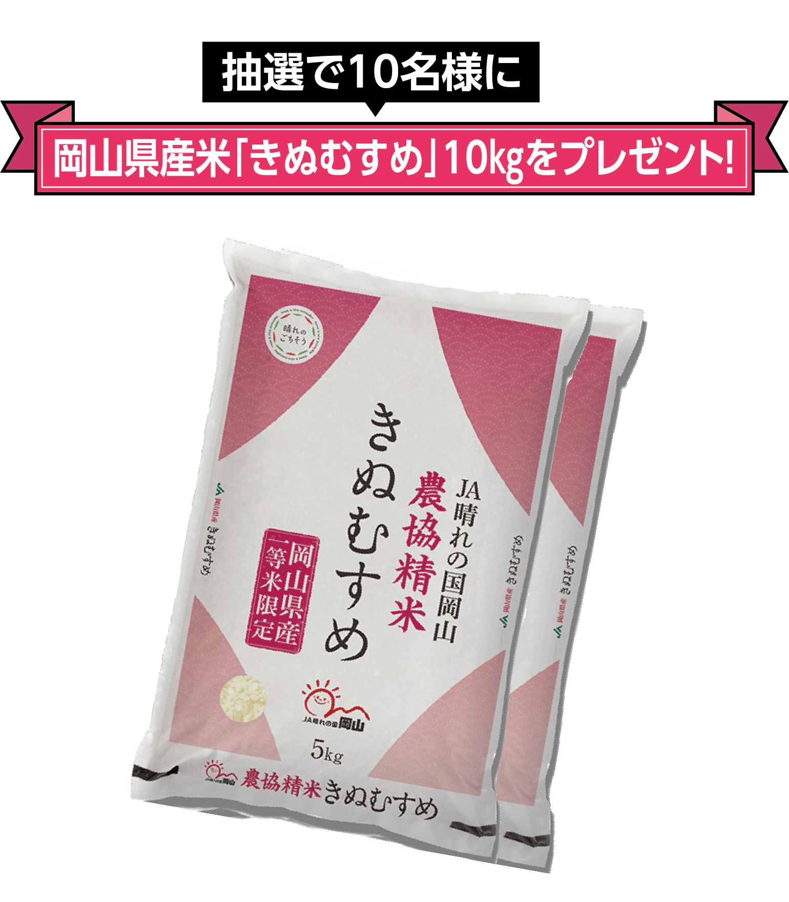 抽選で10名様に岡山県産「きぬむすめ」10㎏をプレゼント!